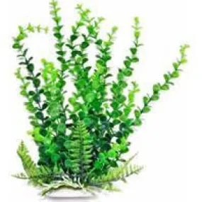 Aquatop Aquatic Supplies - Elodea Aquarium Plant With Weighted Base