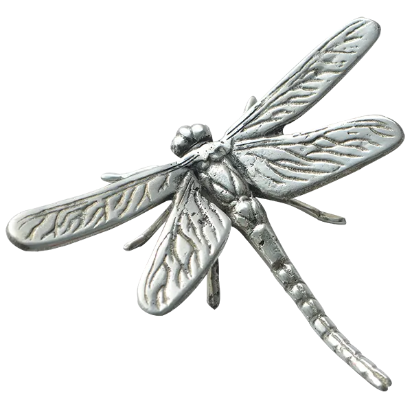 Bronze Dragonfly, Large